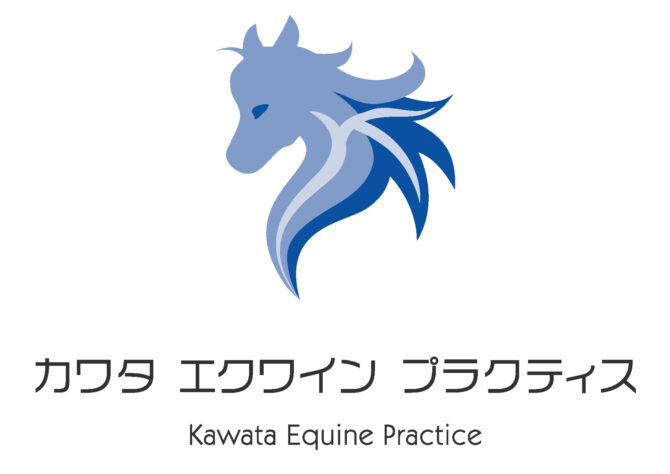 カワタエクワインプラクティス