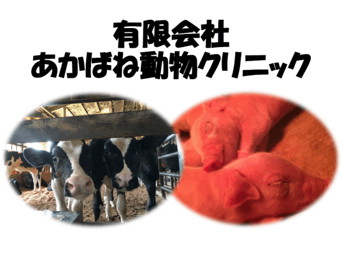 有限会社あかばね動物クリニック