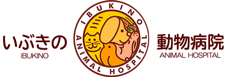 いぶきの動物病院