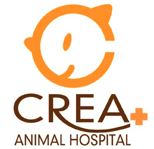 クレア動物病院